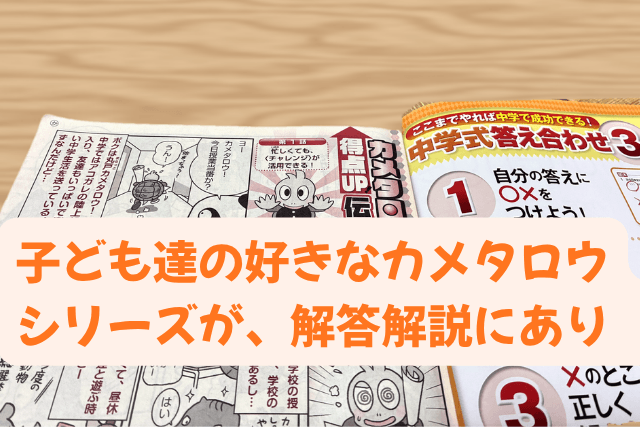Challengeの解答解説にあるカメタロウのマンガと、答え合わせの3ステップのページ